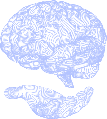 brain vector image